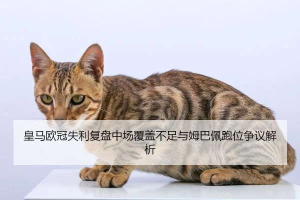 皇马欧冠失利复盘中场覆盖不足与姆巴佩跑位争议解析